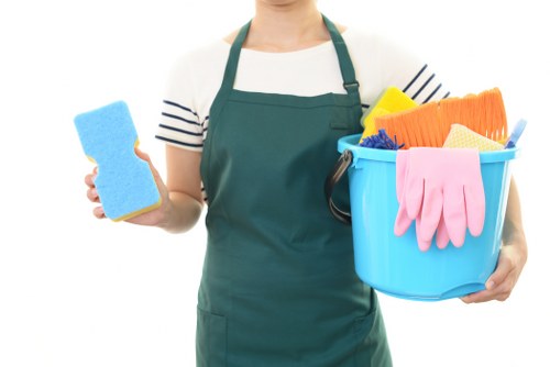 Professional domestic cleaners at work in Barkingside home