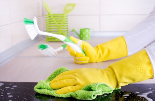 Barkingside Cleaners deep cleaning in action