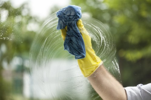 Eco-friendly cleaning practices