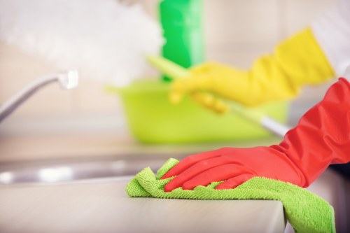 Residential and commercial window cleaning services
